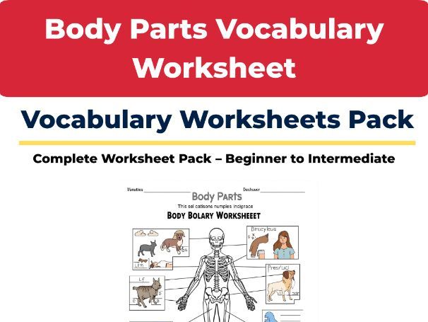 Body Parts Vocabulary – ESL Worksheet