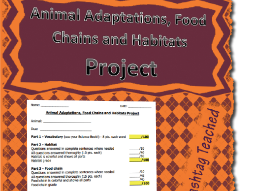 Animal Adaptations, Food Chains and Habitats Project