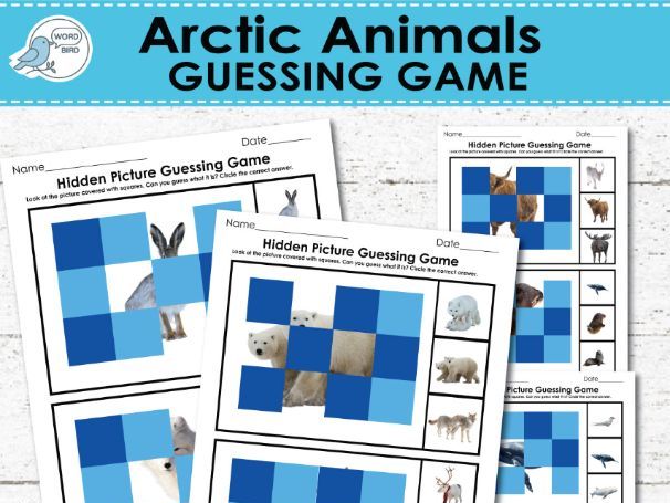 Arctic Animals Hidden Picture Guessing Game | 10 Pages
