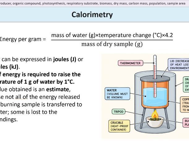Primary Producers, Biomass and Calorimetry - AQA A Level Biology
