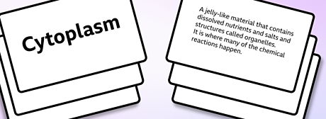 GCSE 9-1 Science (Biology/Chemistry/Physics) Flashcards
