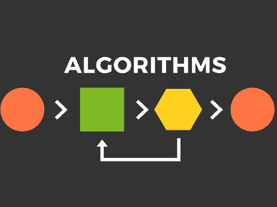Purpose of Algorithms in Meeting Specified Requirements Efficiently, Using Logical Reasoning 1.1.9