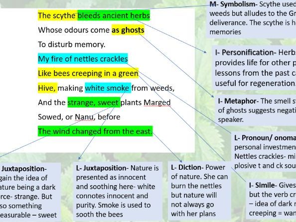 Burning Nettles by Gillian Clarke
