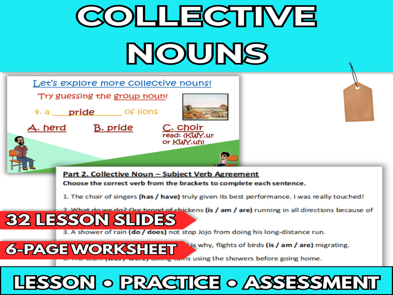 EFL / ESL Collective Nouns - Editable Lesson Slides & Worksheets