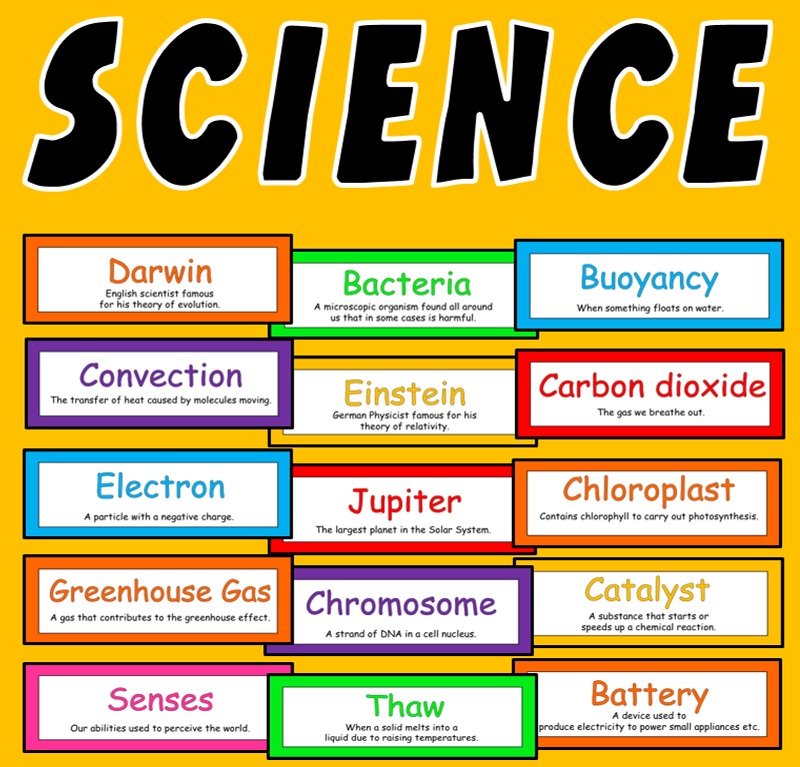 200 SCIENCE FLASHCARDS - CLASSROOM DISPLAY KEY WORDS KEY STAGE 2-4 BIOLOGY PHYSICS CHEMISTRY