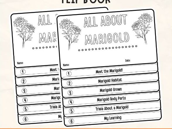 Marigold Plant Flipbook Craft DIY Botany Science Study Writing Prompt Activity