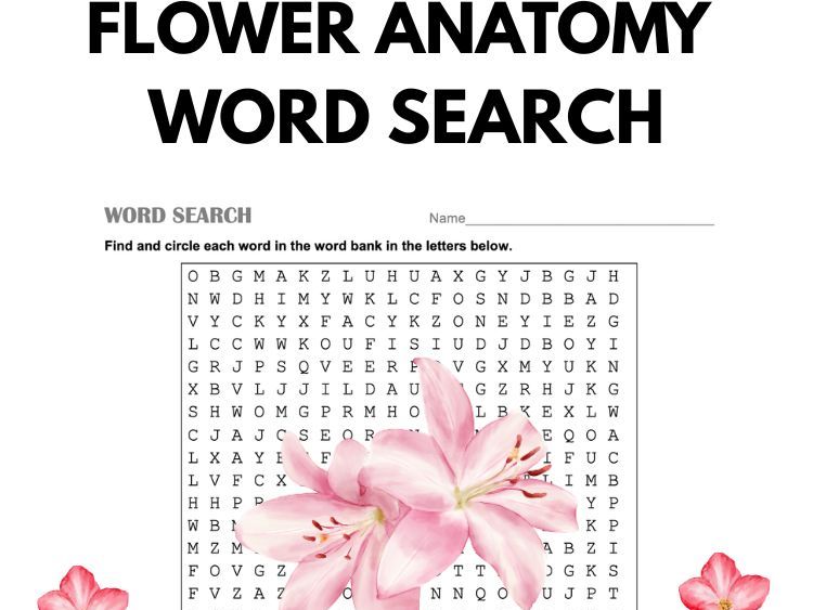 Flower Vocabulary Word Search Plant Reproduction Review Sub Plans