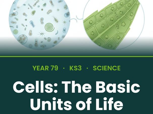 KS3 Biology: Cells & Cell Structure | Full Unit + Microscope Labs