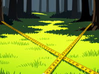 Ecology - Sampling and Investigating Ecosystems