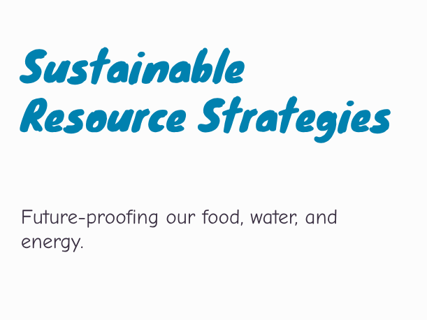 Sustainable Resource Strategies
