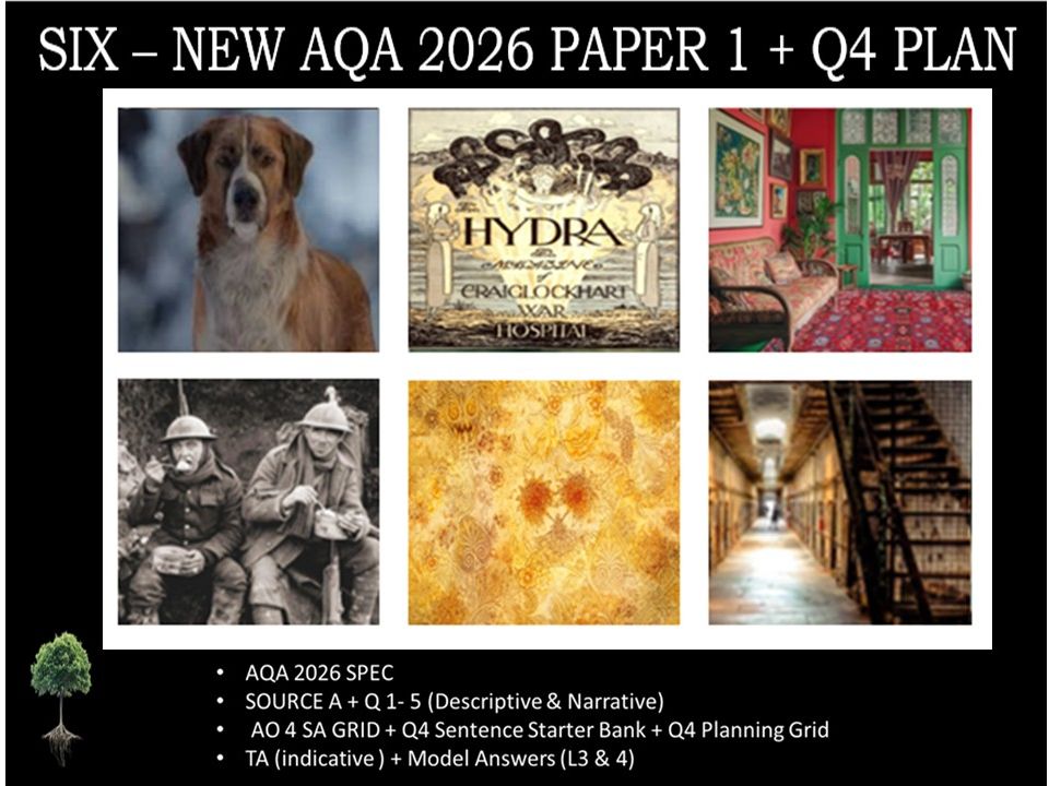 SIX - NEW PAPER 1 | 2026 FULL MOCK | Q4 PLAN