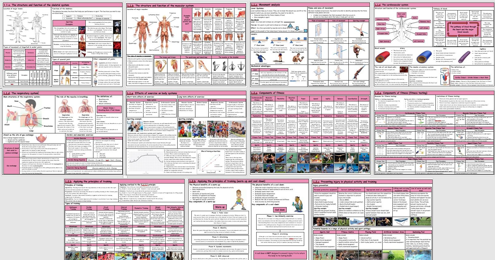 GCSE PE – OCR (9-1) – Complete Component 01 - Knowledge Organisers / Revision Mats (Bundle)