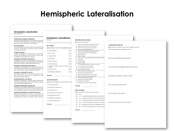 Hemispheric Lateralisation Teaching Resources