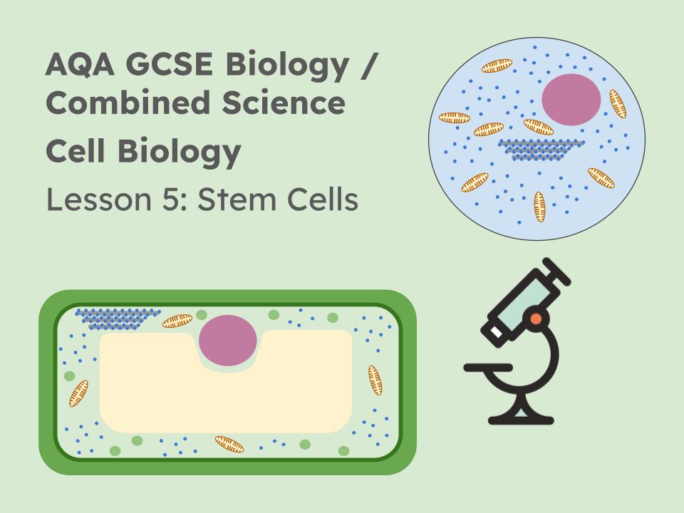 Lesson 5 Stem Cells