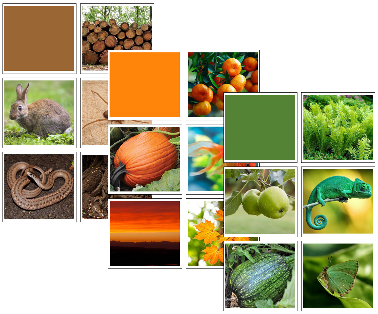 Colors In Nature Sorting Cards Preschool Activity Teaching Resources