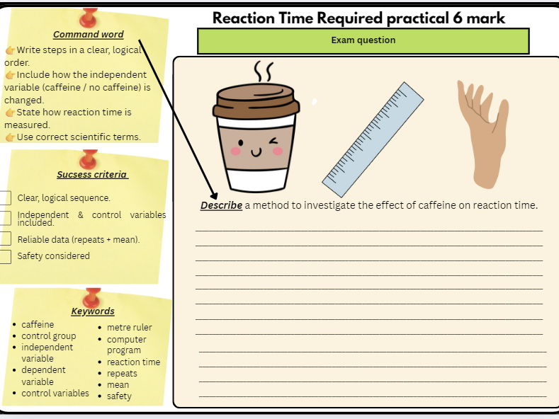 GCSE Biology Paper 2 Required Practicals Bundle (Reaction Time + Quadrats/Transect Line)