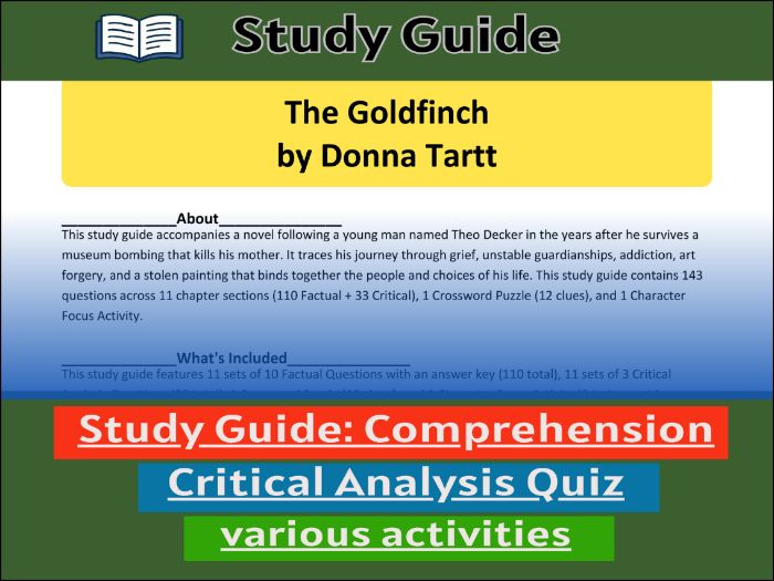 Study Guide for :The Goldfinch by Donna Tartt & Comprehension Test