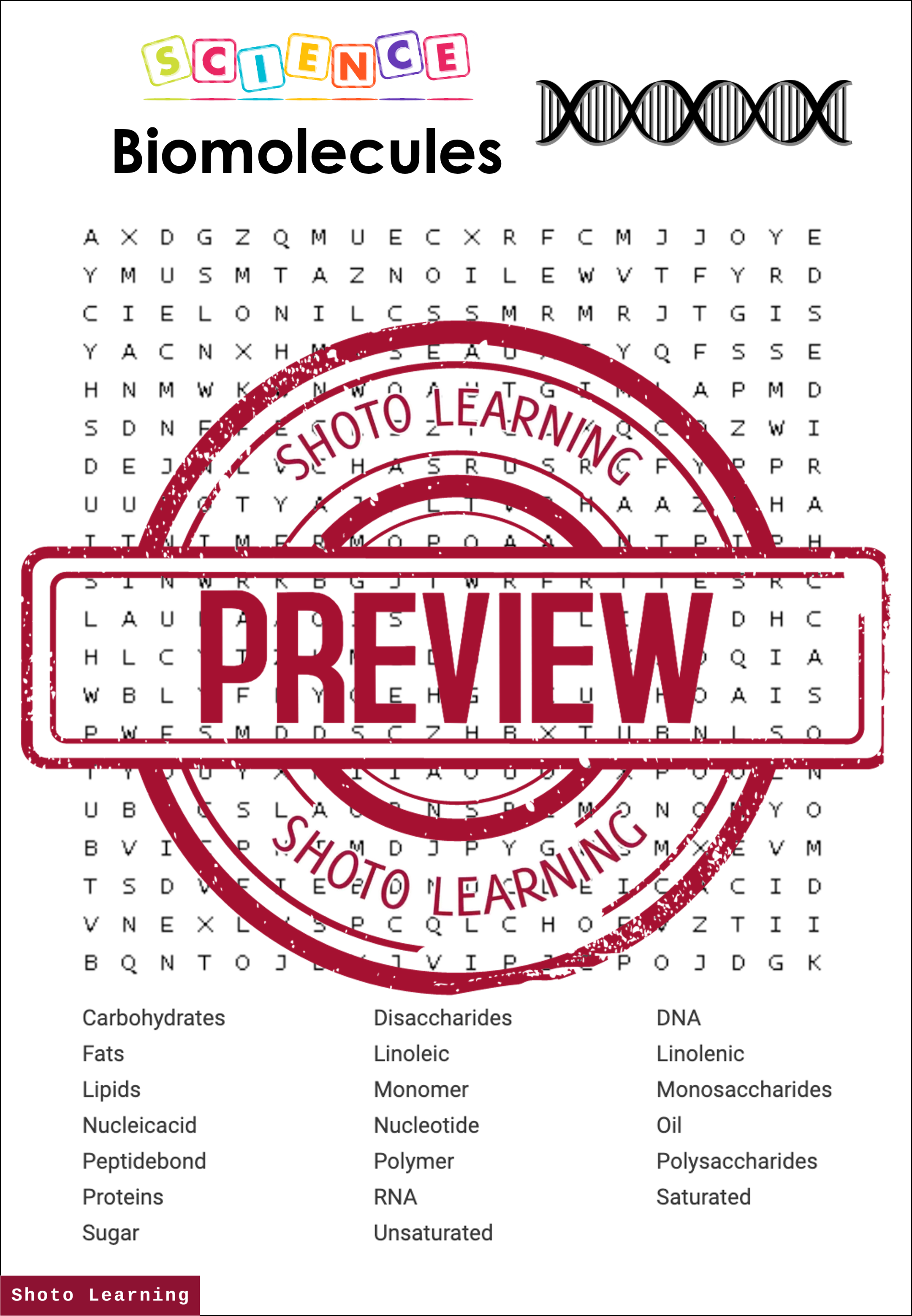 BIOMOLECULES SCIENCE ACTIVITY WORD FIND FINDER GAME VOCABULARY WORDS Teaching Resources