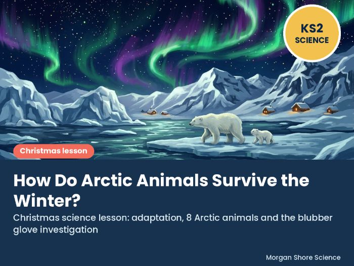 Christmas Science: How Do Arctic Animals Survive the Winter? KS2 Adaptation Lesson