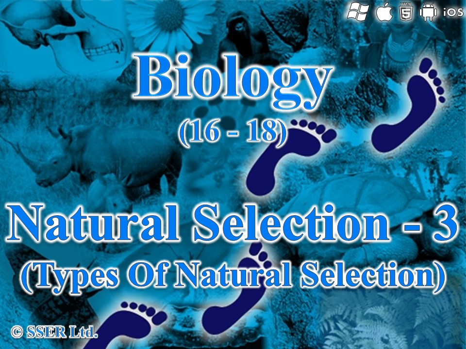 BioA_3.7.3 Natural Selection 2b - Types