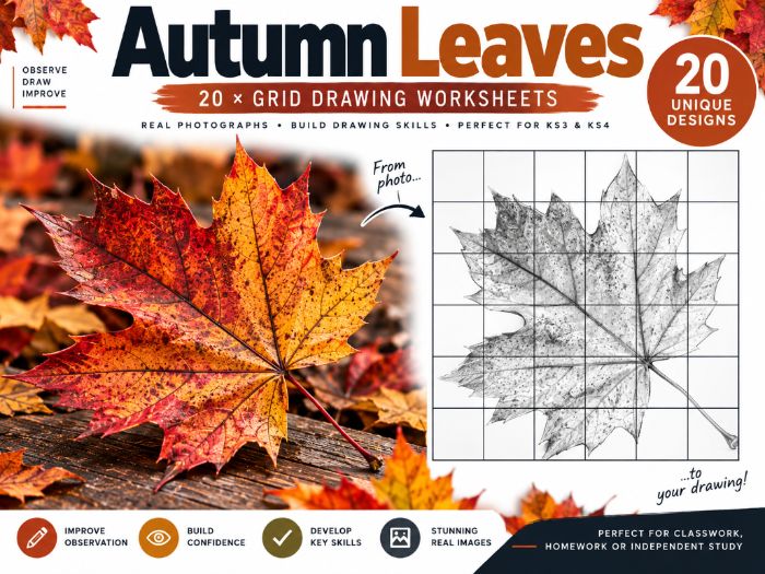 Autumn Leaves Grid Drawing Worksheets | 20 Art Activities | KS3 & KS4