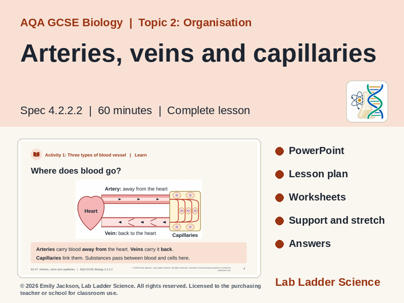 B2-07 Arteries, Veins & Capillaries: AQA GCSE Biology