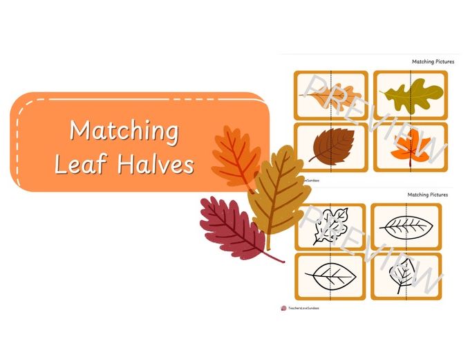 Matching Leaf Halves