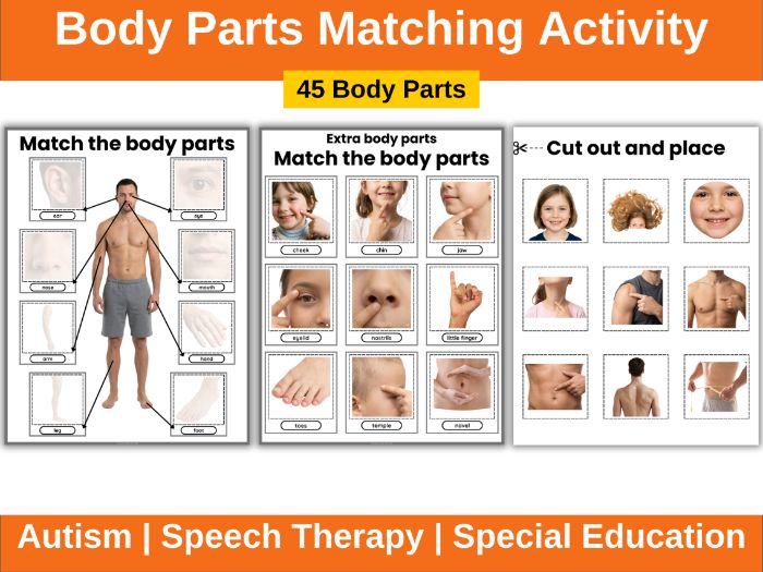 Body Parts Matching Activity (Autism)