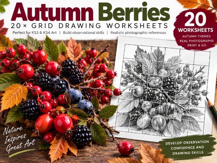 Autumn Berries Grid Drawing Worksheets – 20 Art Activities | KS3 & KS4 Observational Drawing