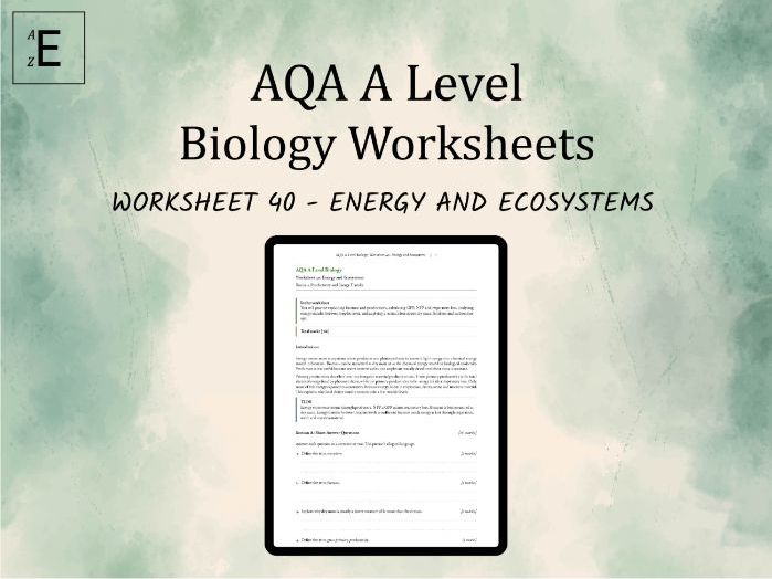 AQA A Level Biology Worksheet 40 - Energy and Ecosystems