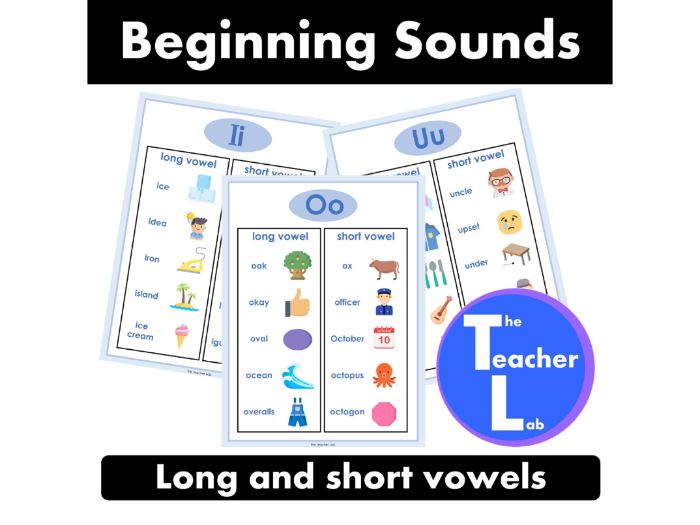 Beginning Sounds Vowels Posters Short & Long Vowel Phonics Practice Kindergarten