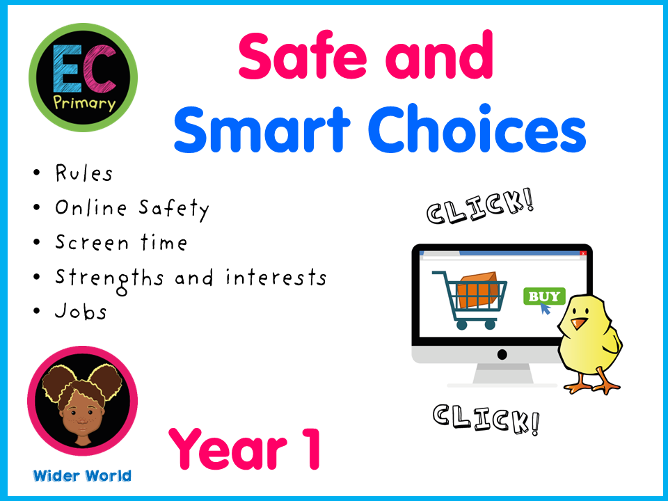 Safe and Smart Choices - Year 1