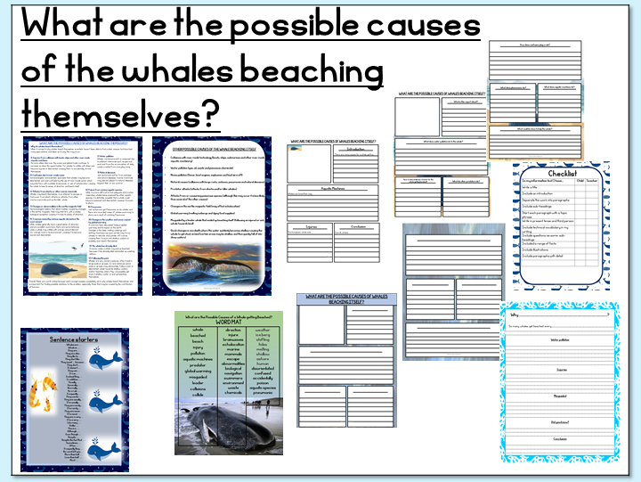 Writing an Information Report- What are the possible causes of whales beaching themselves?