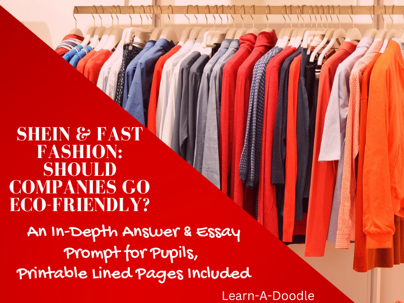 SHEIN & Fast Fashion: Should Companies Go Eco-Friendly? – Answer & Essay Prompt!