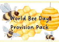 World Bee Day Provision Bundle Pack