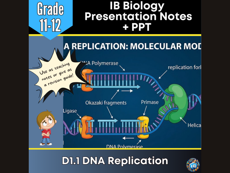 IB DP Biology D1.1 DNA Replication Teaching Notes & PowerPoint 2026