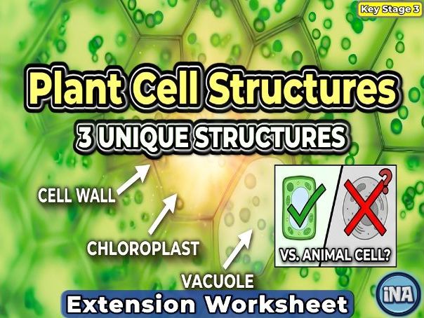 Plant Cell Structures and Their Functions - KS3 Biology Extension Pack