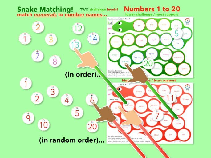 Snakes! Matching numerals (1-20) and number names (one to twenty) Two levels