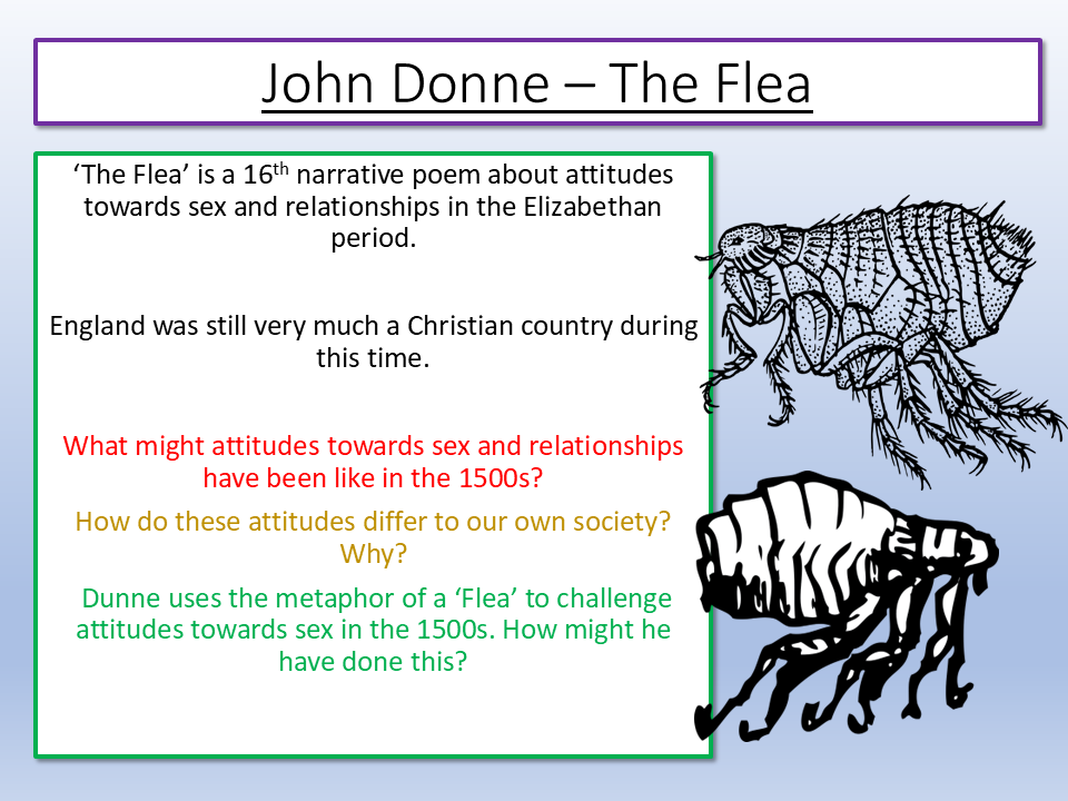 The Flea John Donne A Level