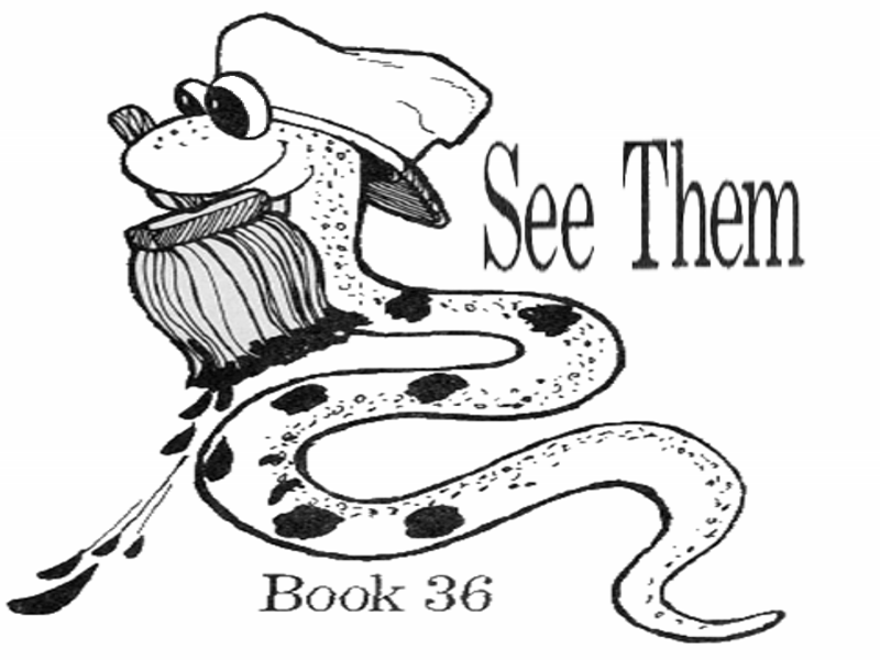 Book 36: See Them (I See Sam Series), Guided Reading Questions and ...