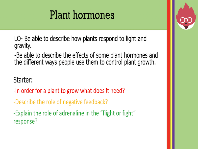 Plant hormones (Control and coordination) Teaching Resources