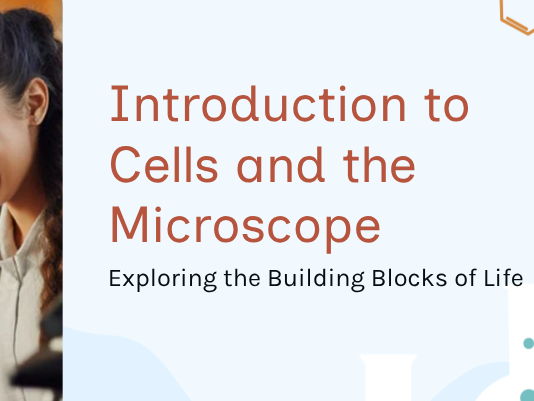 Cells and Organisation