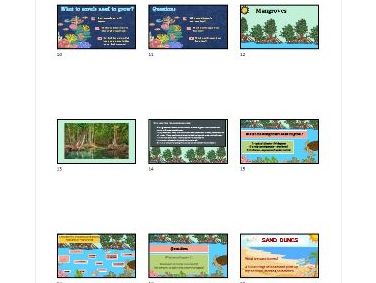 Edexcel iGCSE Geography - Coasts - Coastal ecosystems 2 hours of resources