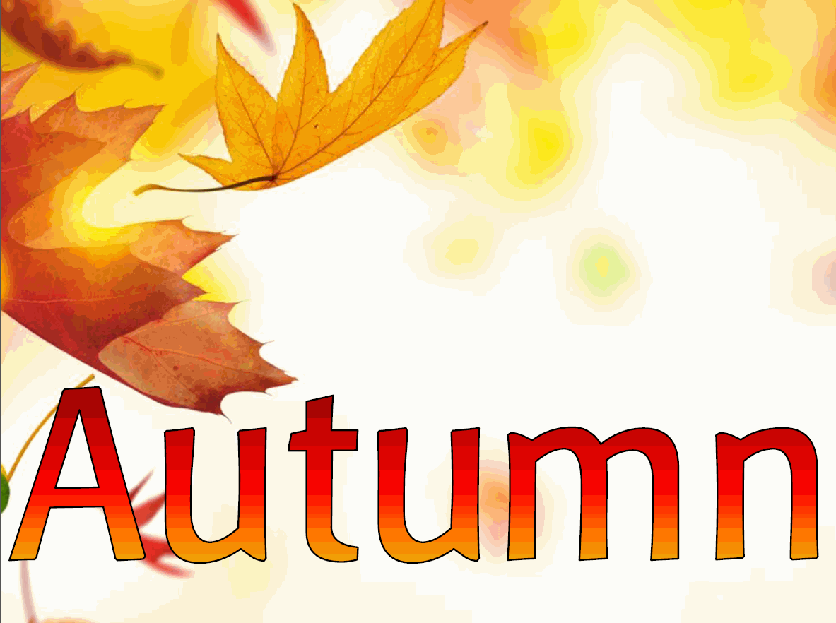 Y1 Science topic -  Seasons - Autumn topic powerpoint, display and activities