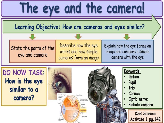 The eye and the camera KS3 Activate Science