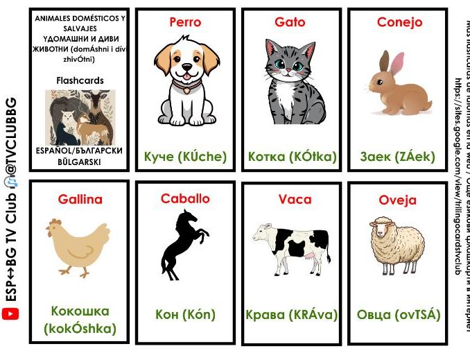 Español Búlgaro Vocabulario naturaleza 96card