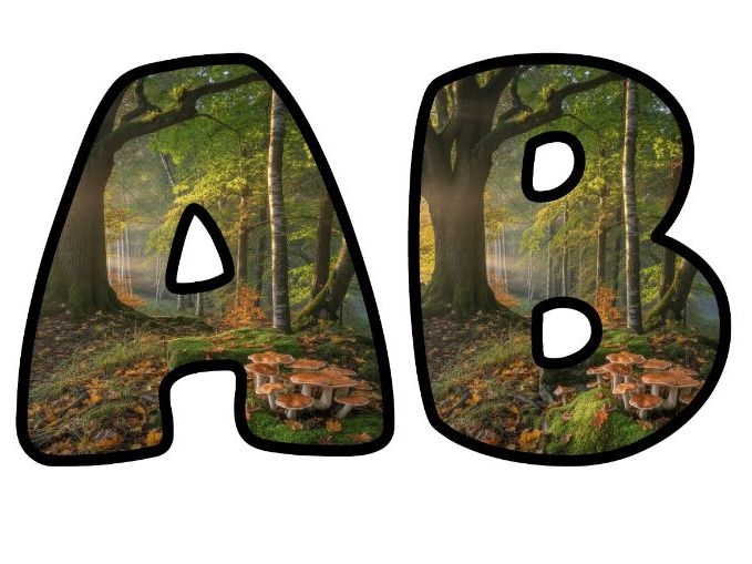 Trees Woods Leaves Outdoors Lettering Set | Classroom Display | Upper & Lowercase, 0-9 and Signs