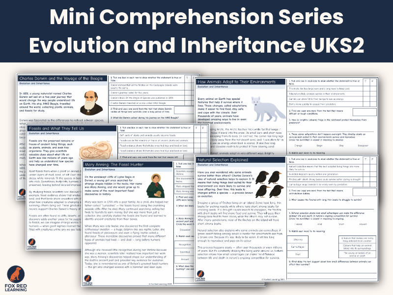 Mini Comprehension Series: Evolution and Inheritance Y5 Y6