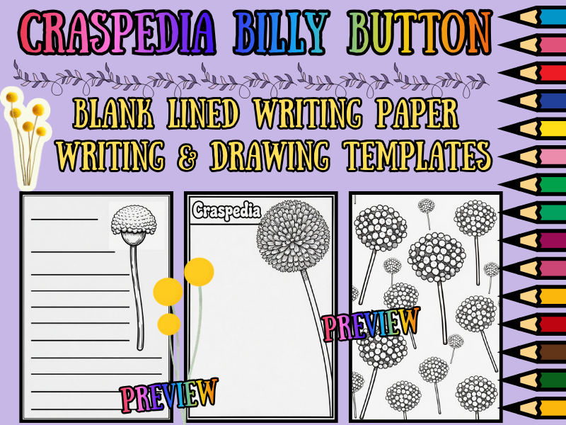 Craspedia Billy Button Flower Coloring Pages & Blank Lined Writing Paper NO PREP