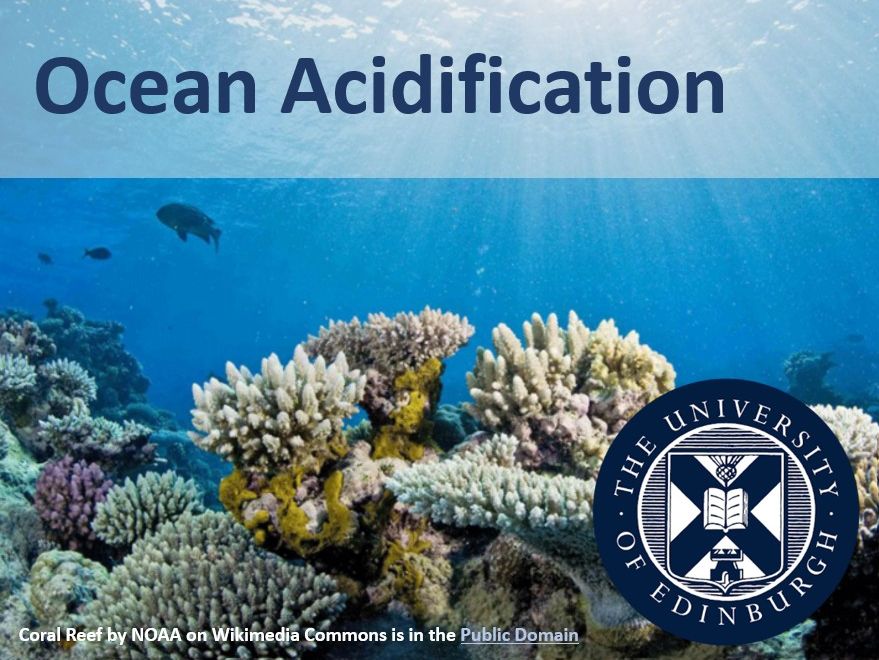Ocean Acidification and Climate Change
